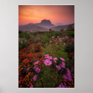 Flowers Chiang Dao, Chiang Mai, Thailand Poster