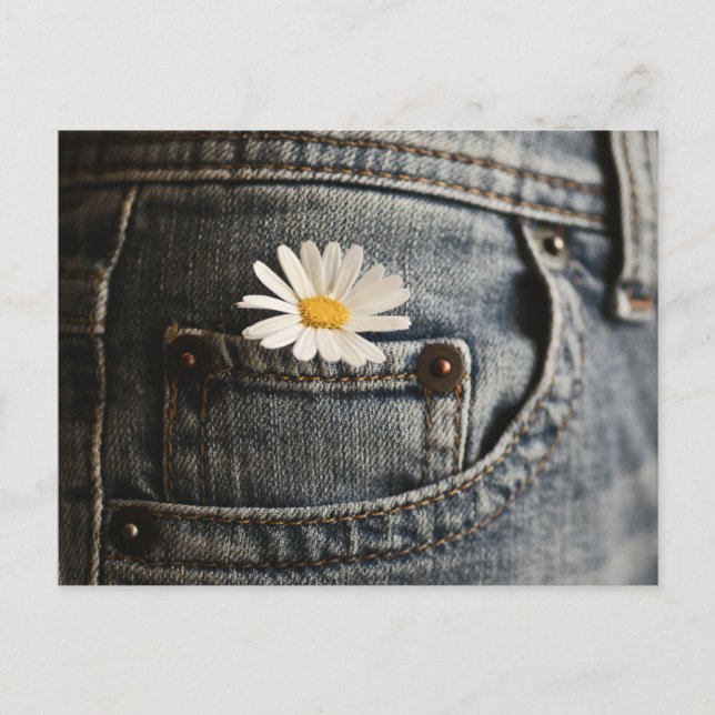 Flowers | Daisy in Jeans Pocket Vykort (Framsida)