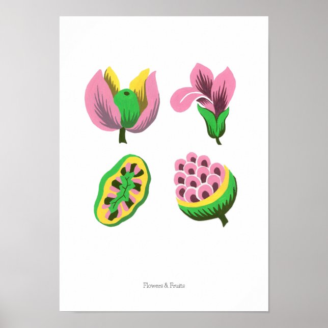 Flowers & Fruits Poster (Framsidan)