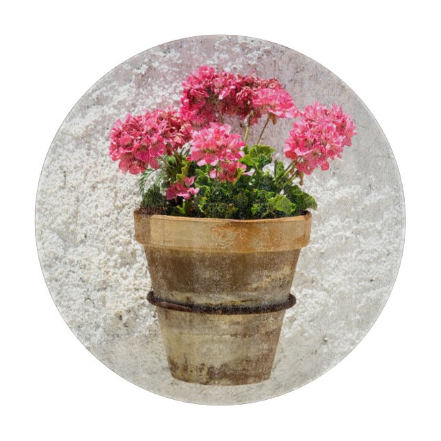 Flowers | Geranium In Flower in Pot (Framsidan)