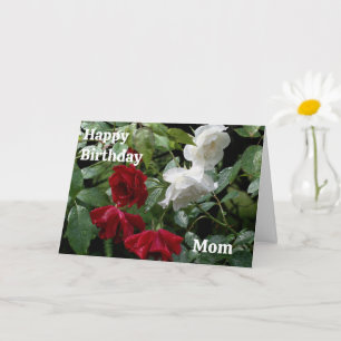 Flowers grattis på födelsedagen Mamma Röd ros Kort