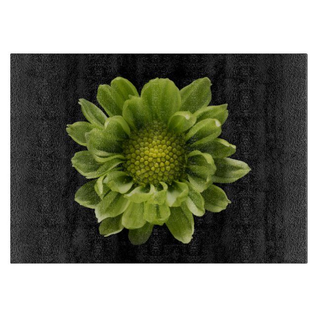 Flowers | Green Chrysanthemum (Framsidan)