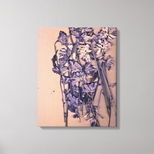 Flowers in a pink light canvastryck (Framsida)