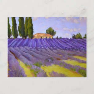 Flowers Lavender fält Vykort
