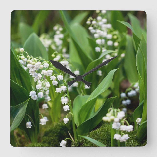 Flowers | Lily of the Valley Sweden Fyrkantig Klocka (Framsida)