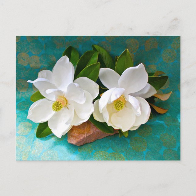 Flowers | Magnolia Flower Vykort (Framsida)