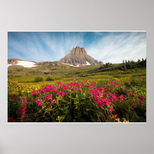 Flowers | Montana's Glacier National Park Poster (Framsidan)