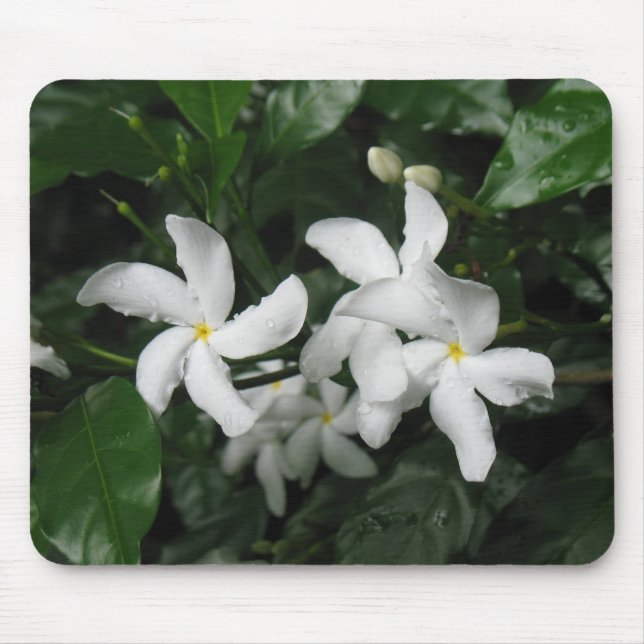Flowers Mousepad Musmatta (Framsidan)