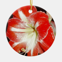 Flowers of Faith 2 Corinthians Amaryllis Ornament