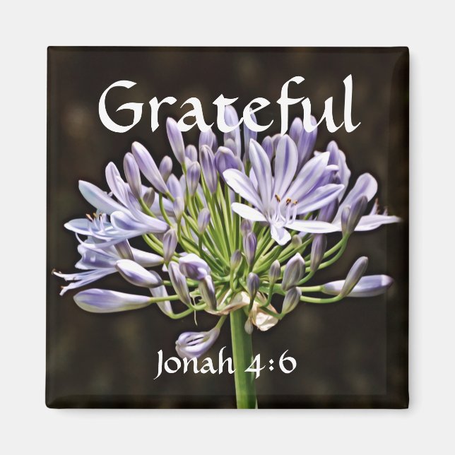 Flowers of Faith Jonah Agapanthus Magnet (Framsidan)