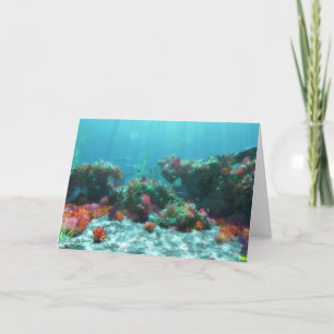Flowers of the Sea Card Kort