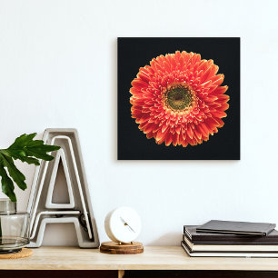 Flowers Orange Gerbera Daisy Canvastryck