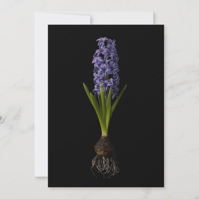 Flowers | Purple Hyacinth Bulb Tack Kort (Framsida)