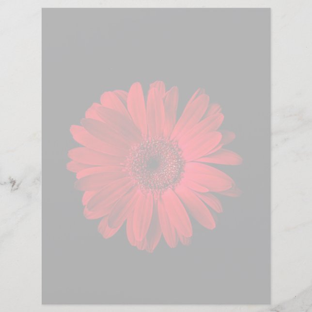 Flowers | Red Gerbera Daisy (Framsida)