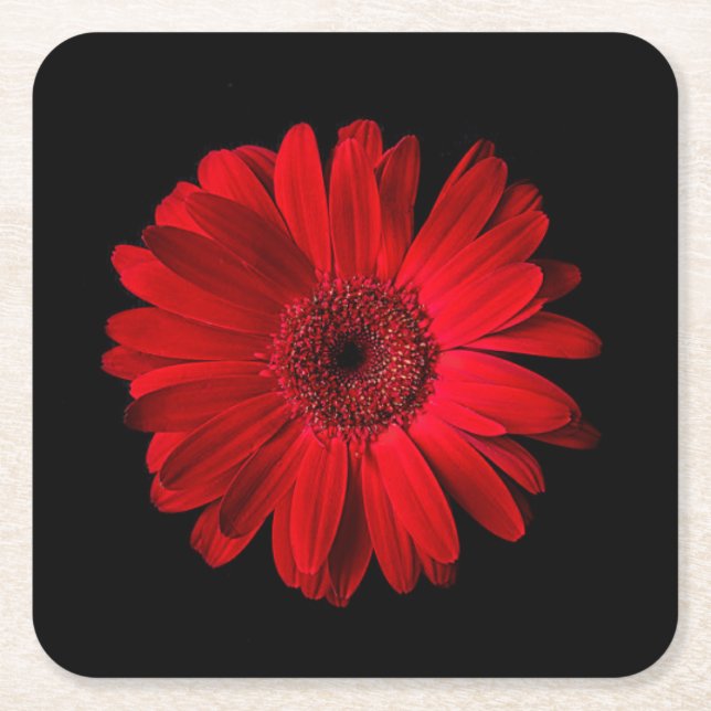 Flowers | Red Gerbera Daisy Underlägg Papper Kvadrat (Framsidan)
