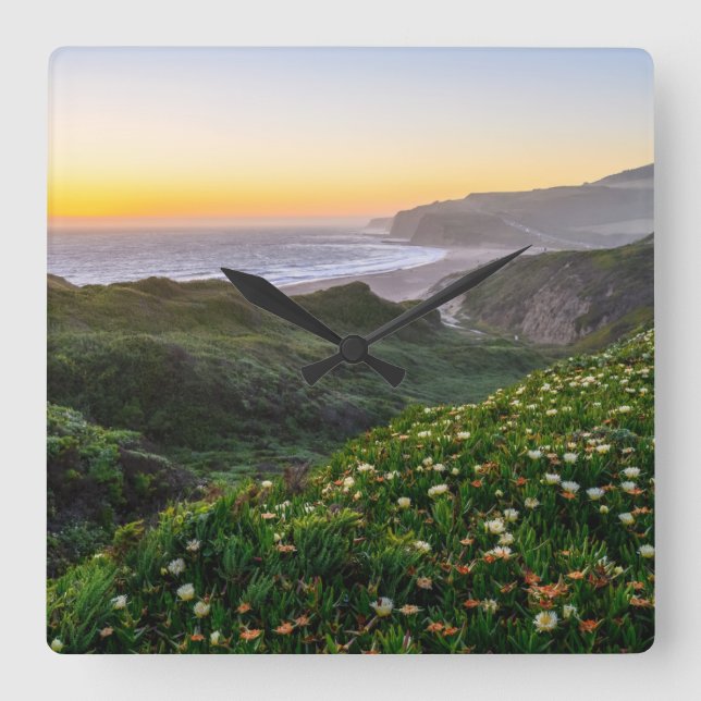 Flowers | Santa Cruz California Fyrkantig Klocka (Framsida)