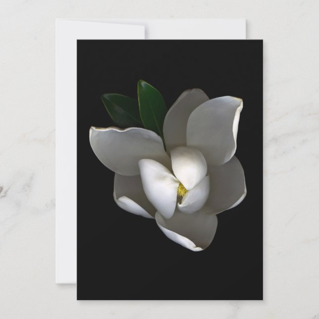 Flowers | Single White Magnolia Blossom Tack Kort (Framsida)
