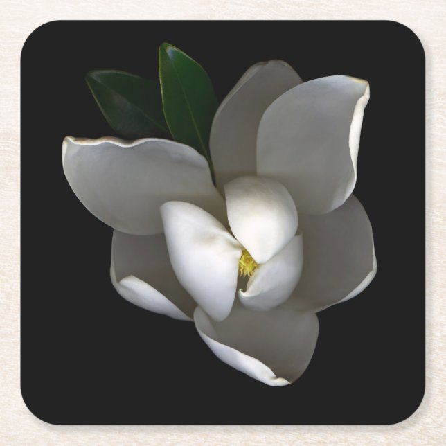 Flowers | Single White Magnolia Blossom Underlägg Papper Kvadrat (Framsidan)