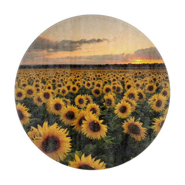 Flowers | Sunflower Field (Framsidan)