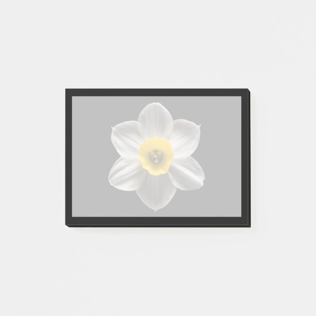 Flowers | White Daffodil Flower Post-it Block (Framsida)
