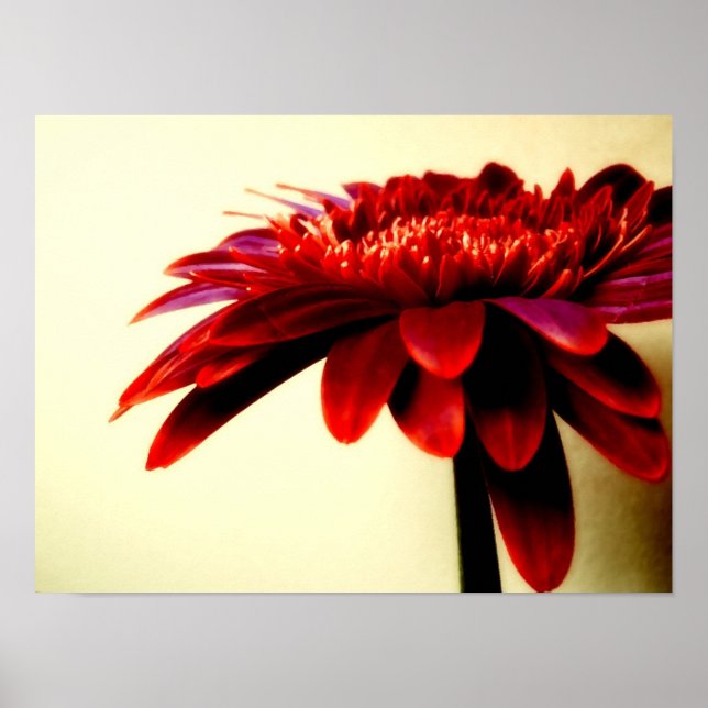 FLOWERSERIES-007 POSTER (Framsidan)