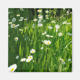 Flowery-ängsskugga Magnet