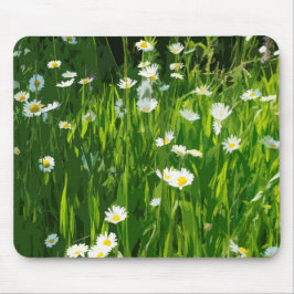 Flowery-ängsskugga Musmatta