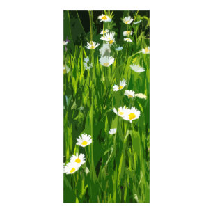 Flowery-ängsskugga Reklamkort