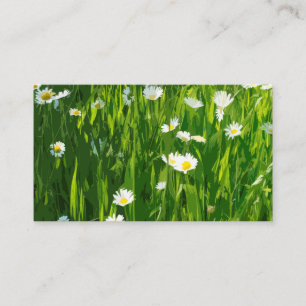Flowery-ängsskugga Visitkort