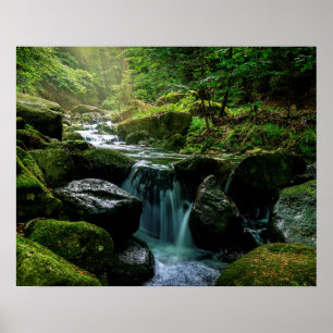 Flowing Bäck, Grönt Mossy Sten, Forest Nature Poster