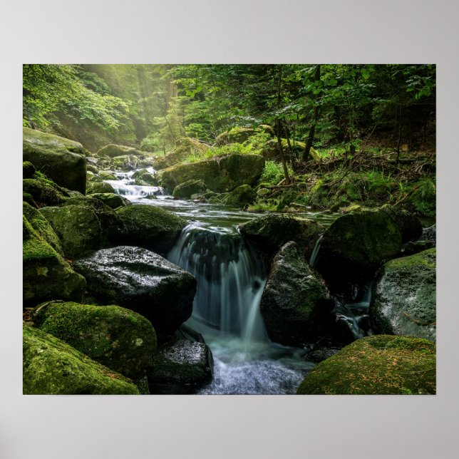 Flowing Bäck, Grönt Mossy Sten, Forest Nature Poster (Framsidan)
