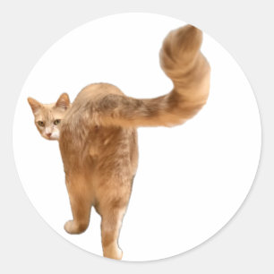 Floyd Butt Sticker - med Ansikte! Runt Klistermärke