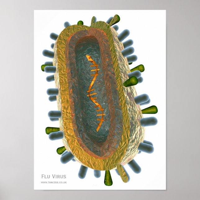 Flu Virus Poster (Framsidan)