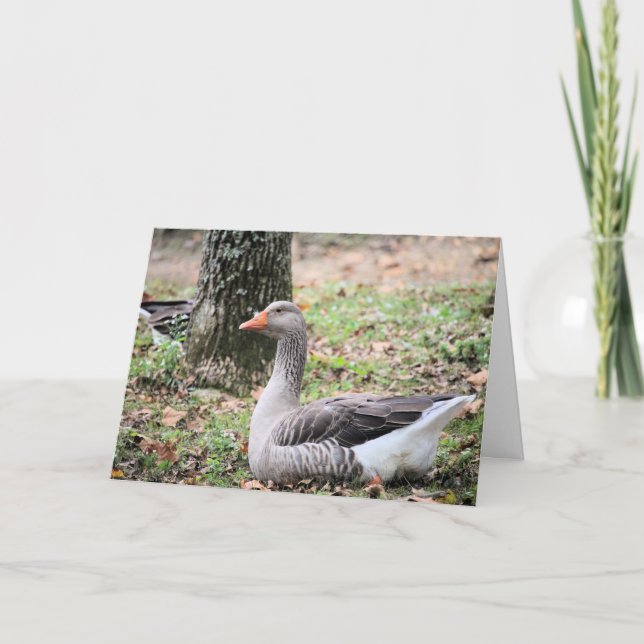 Fluff Helgkort (Framsida)