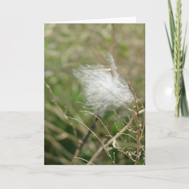 Fluff Kort (Framsida)