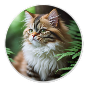 "Fluff och kramar: Den knubba perserkatten" Knopp