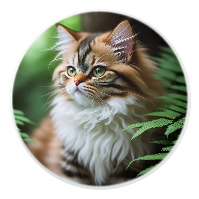 "Fluff och kramar: Den knubba perserkatten" Knopp (Framsidan)