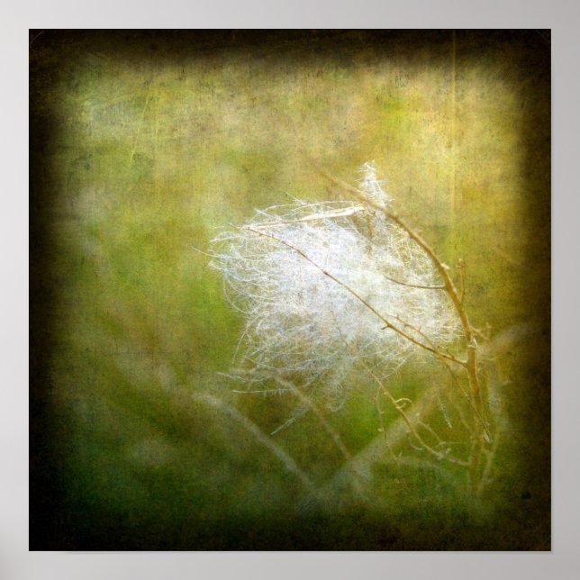 Fluff Poster (Framsidan)