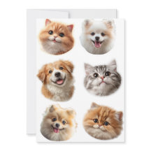 Fluffar runt