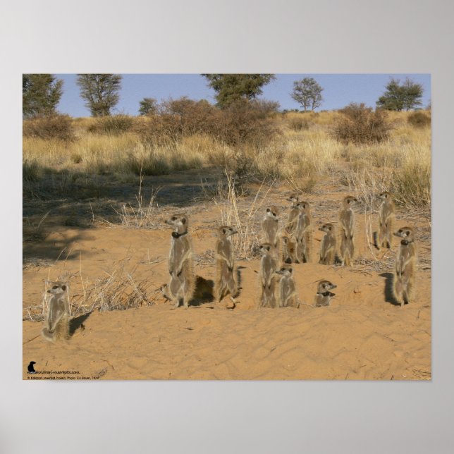 Fluffernutter-samlingen - familjen poster (Framsidan)