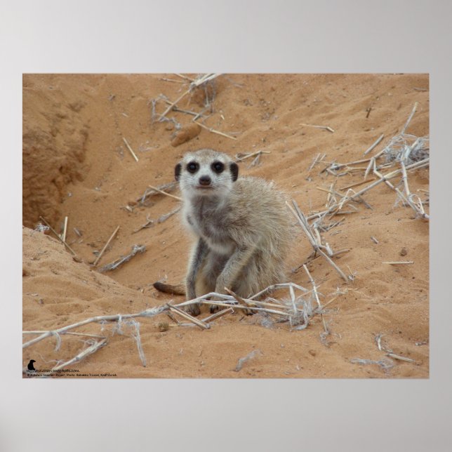 Fluffernutter-samlingen - leende poster (Framsidan)