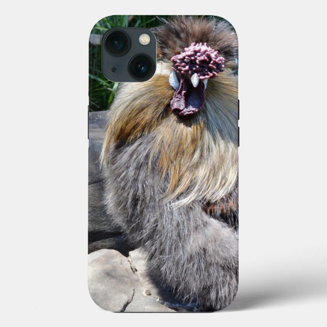 Fluffig ful höna, iPhone 13-fodral (Baksida)