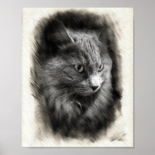 Fluffig grå katt skiss - Mjuk kattporträttkonst Poster