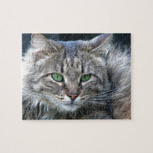 Fluffig grönögd tigerkattunge pussel