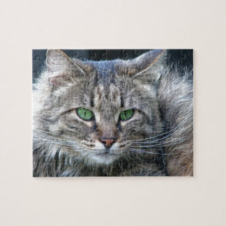 Fluffig grönögd tigerkattunge pussel