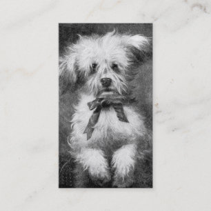 Fluffig hundvisitkort visitkort