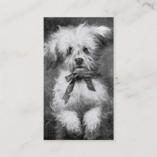 Fluffig hundvisitkort visitkort