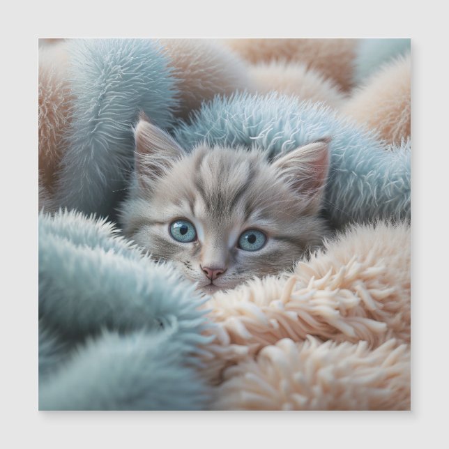 Fluffig kattunge i en mjuk filt (Framsida)
