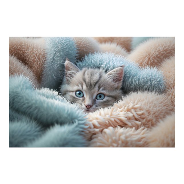 Fluffig kattunge i en mjuk filt fototryck (Framsidan)