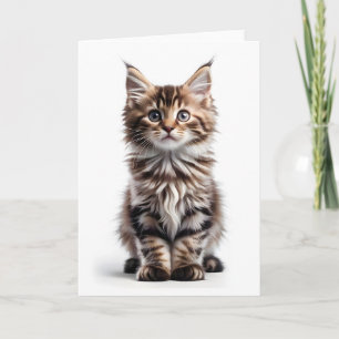 Fluffig långhårig Maine Coon katt Välkomsthälsning Kort